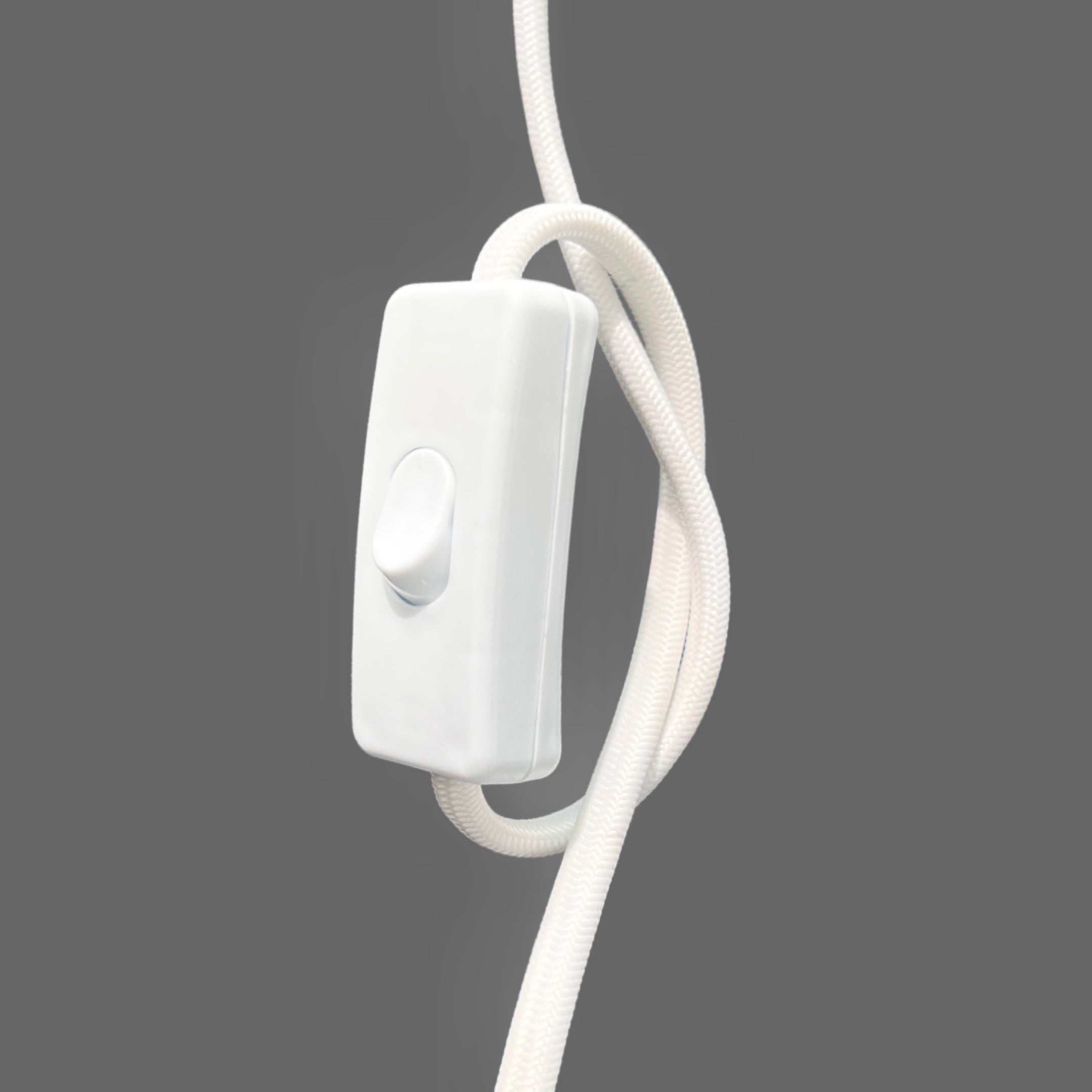 Plug-in Cords and Switches (Wall Sconce with Switch)